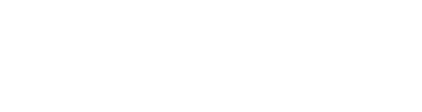 VICE VERSA LOGO FOR VIRTUALIX WEBSITE